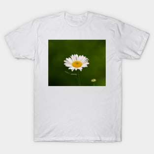 White daisy T-Shirt